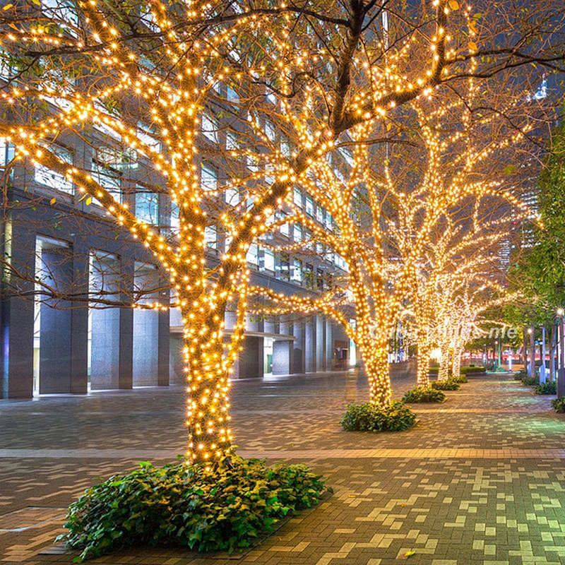 Hot Selling Outdoor Christmas Horse Decoration Fountain Led String Light Fairy light string