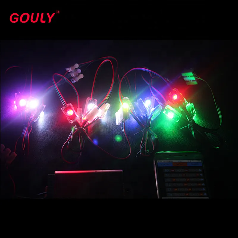 DC24V input 1 led module & led Christmas lights