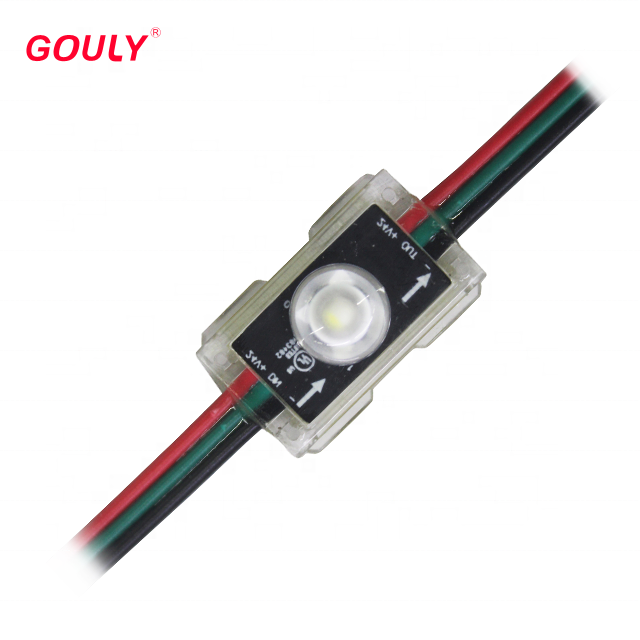 DC24V input 1 led module & led Christmas lights