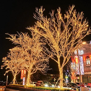 Factory Wholesale rgb Garland Fairy outdoor 110V 220V Decor For Wedding Decoration led Light Christmas