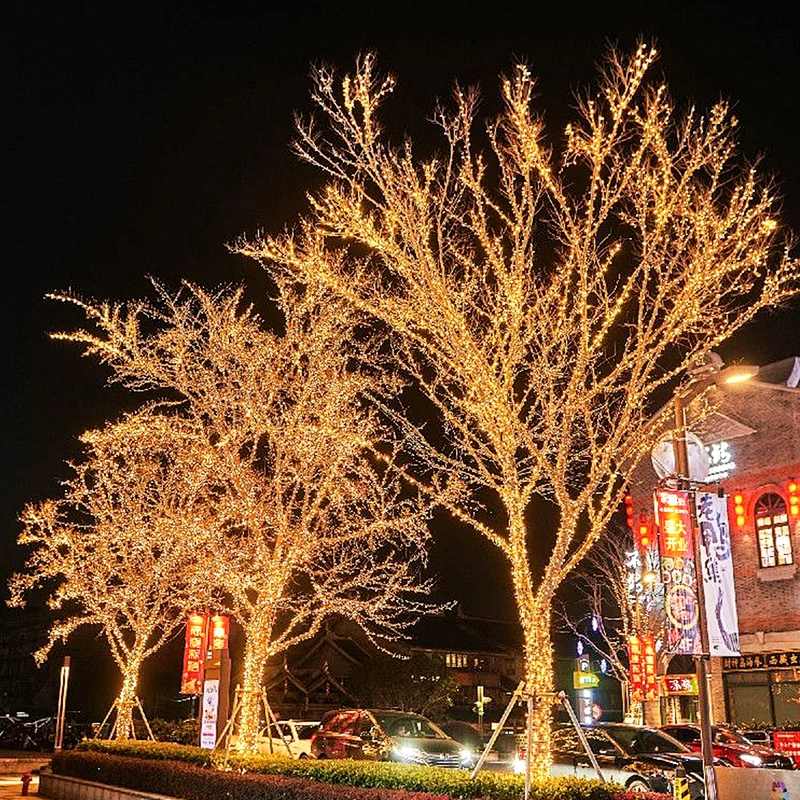 Factory Wholesale rgb Garland Fairy outdoor 110V 220V Decor For Wedding Decoration led Light Christmas
