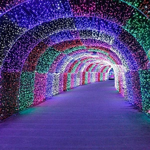 Popular Design Wedding Decoration 110v 220v colorful rgb light String Customized Fairy Led Christmas Tree Light