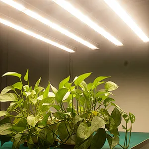 6500k uv and ir eco mega full light grower choice ufo spyder lm301b best meiju grow lights led Indoor plants led light