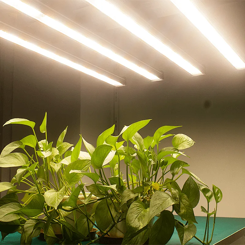 6500k uv and ir eco mega full light grower choice ufo spyder lm301b best meiju grow lights led Indoor plants led light
