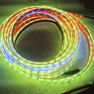 adressable  rgb led strip lights 10 meters  waterproof ws2812 2801 rgbic  smart led strip light control