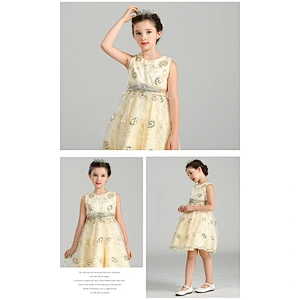 Popular Princess Party Dress Delicate Graceful girl party dress Clothes