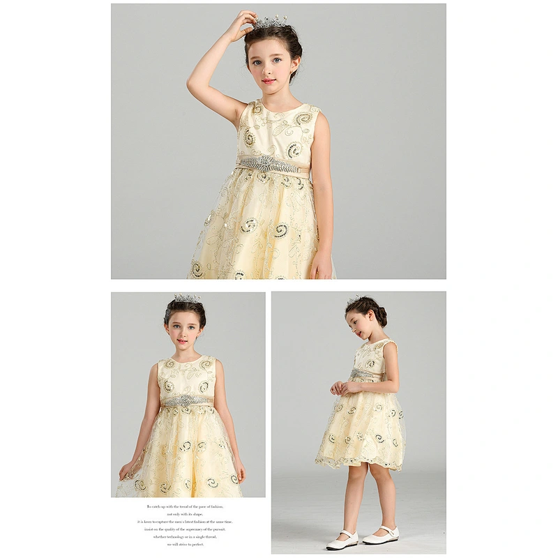Popular Princess Party Dress Delicate Graceful girl party dress Clothes
