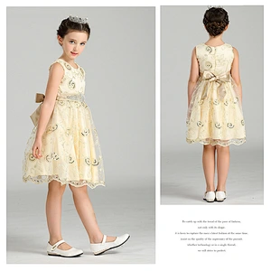 Popular Princess Party Dress Delicate Graceful girl party dress Clothes