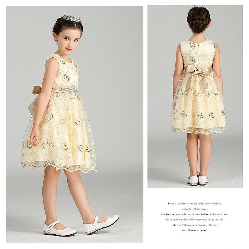 Popular Princess Party Dress Delicate Graceful girl party dress Clothes