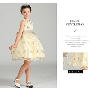 Popular Princess Party Dress Delicate Graceful girl party dress Clothes