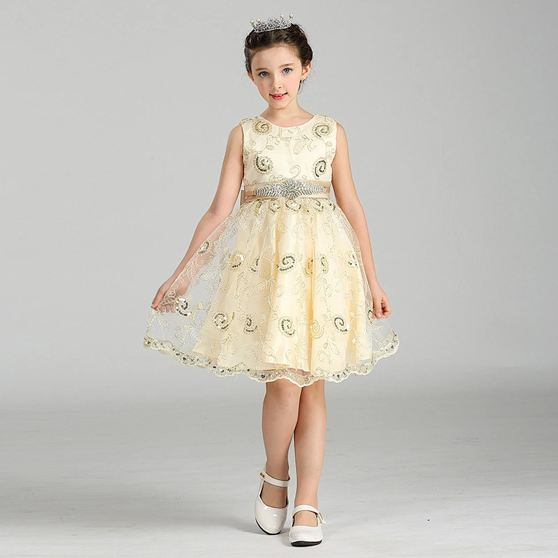 Popular Princess Party Dress Delicate Graceful girl party dress Clothes