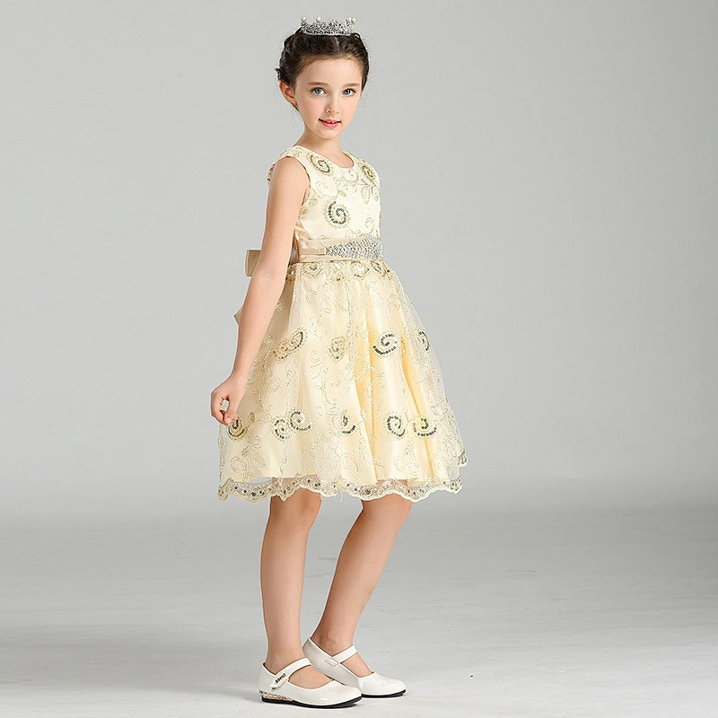 Popular Princess Party Dress Delicate Graceful girl party dress Clothes