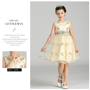 Popular Princess Party Dress Delicate Graceful girl party dress Clothes