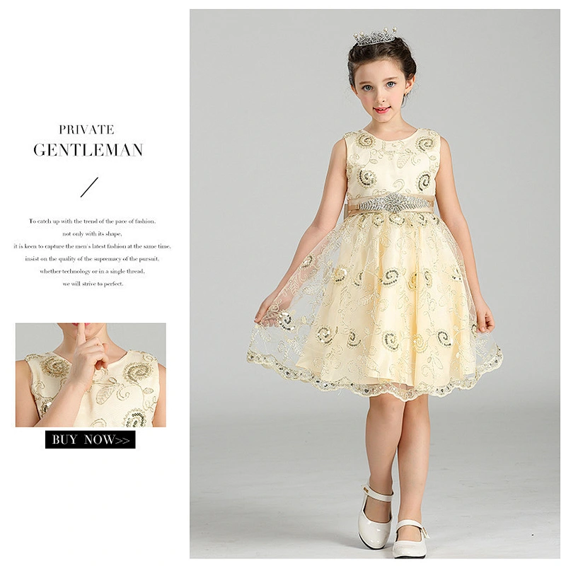 Popular Princess Party Dress Delicate Graceful girl party dress Clothes