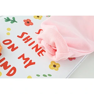 baby girls clothing set spring little girls clothing sets
