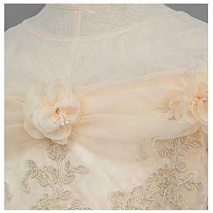 Party Wear Kid Children Girl Dress