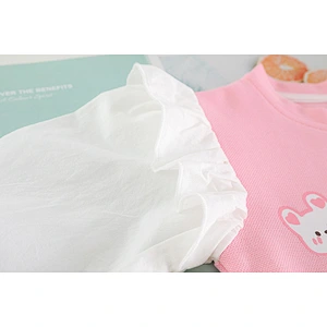 kids girls clothing sets wholesale autumn winter baby girl clothing sets