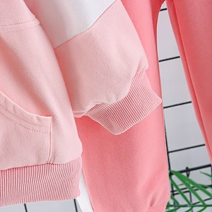 baby girl cotton long sleeve set clothes