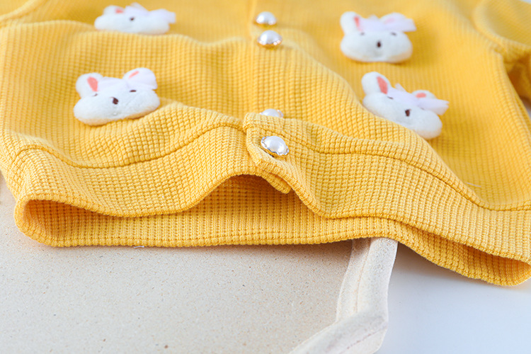 baby girl clothing sets