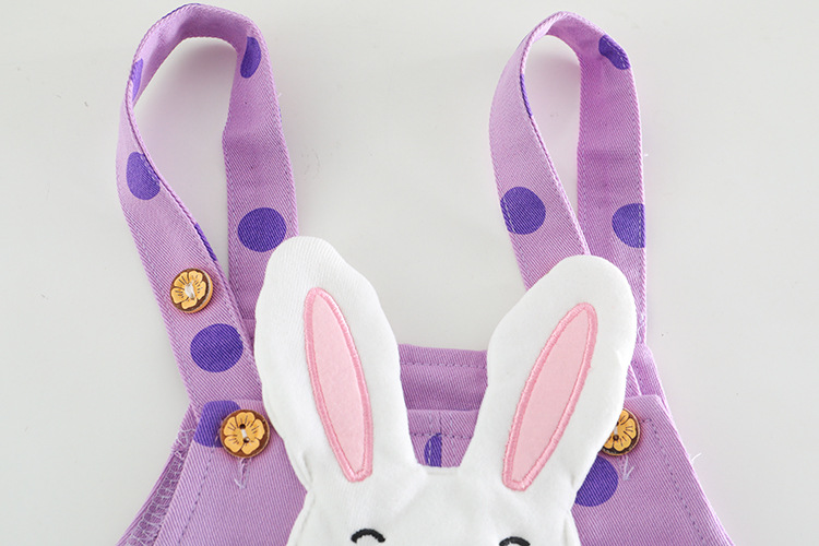 toddler girls clothes set