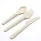 Degradable bagasse spoon