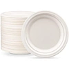 bagasse dishes