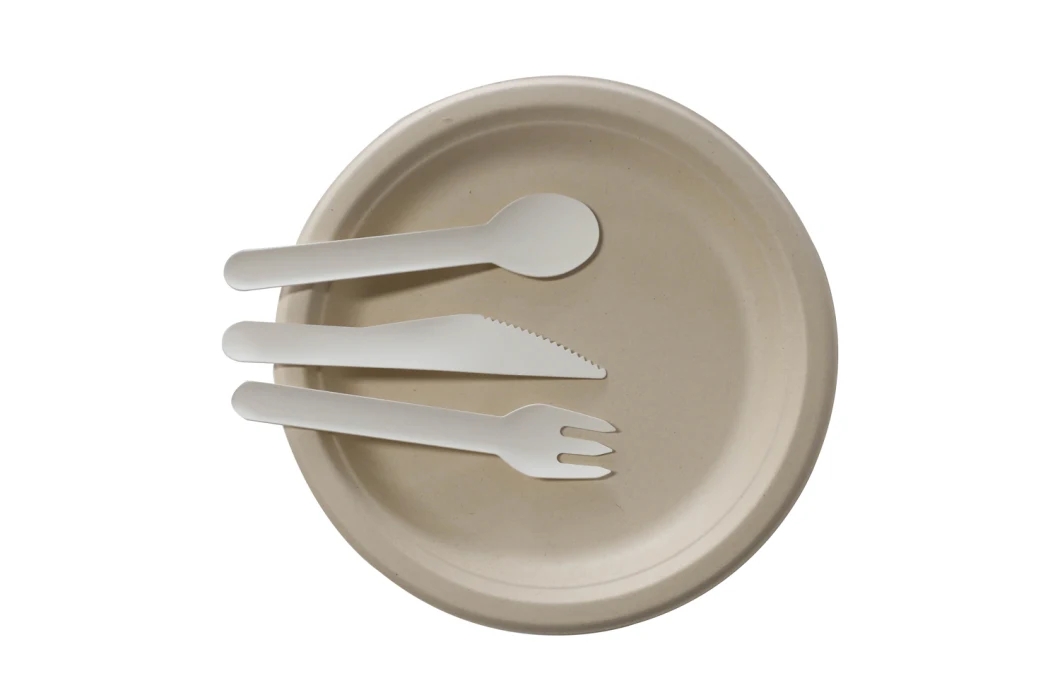 sugarcane disposable plates