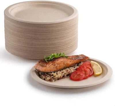 Bagasse plates