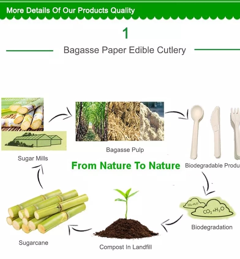 disposable bagasse fork and spoon
