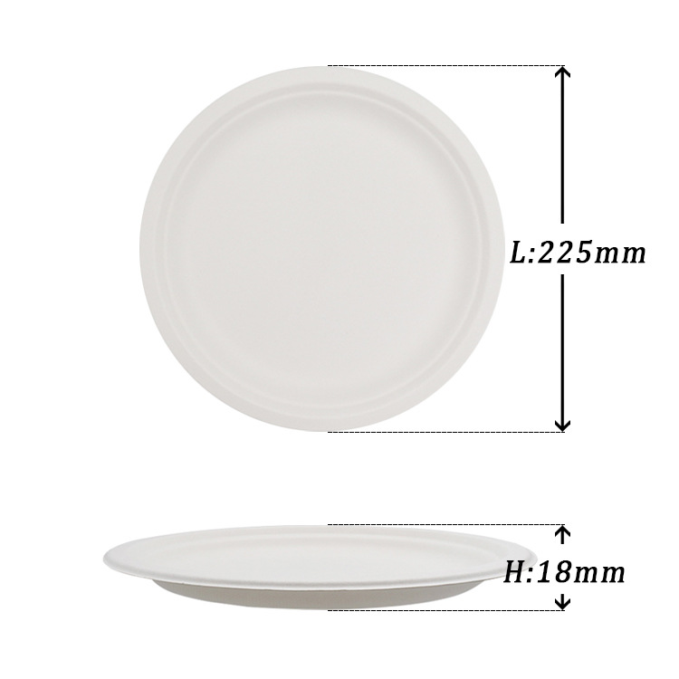 Disposable sugarcane pulp dinner plates