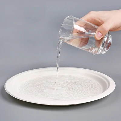 sugarcane plates