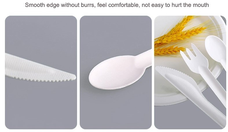 bagasse fork knife spoon set