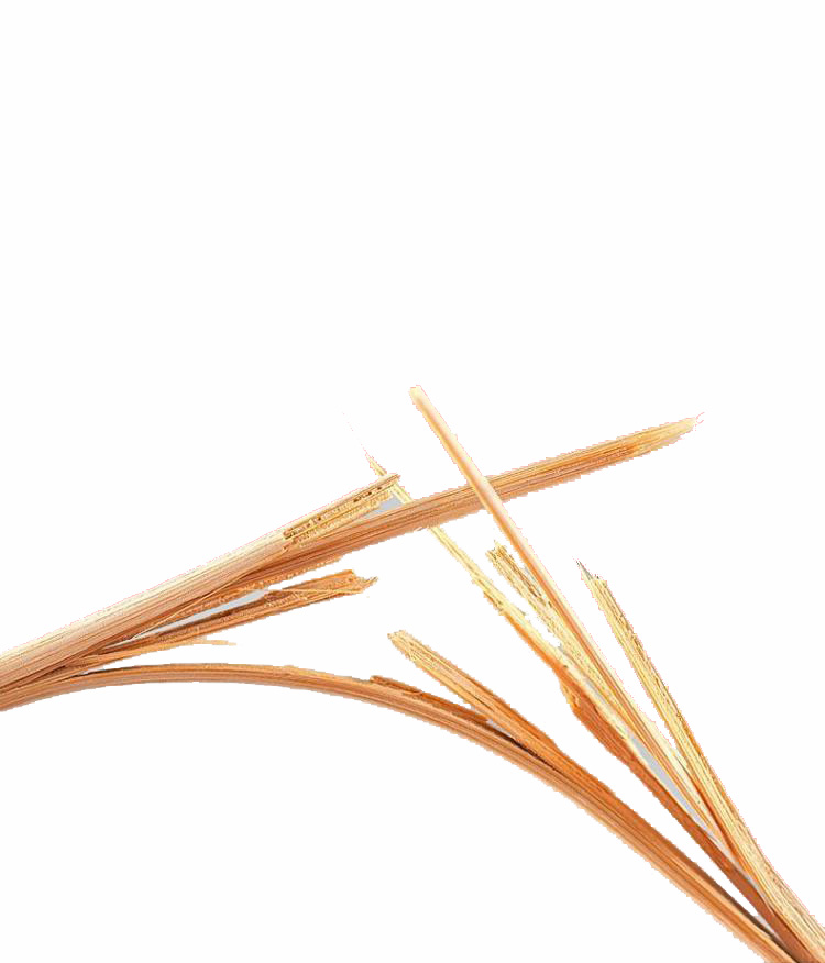 Tianchiao chopsticks