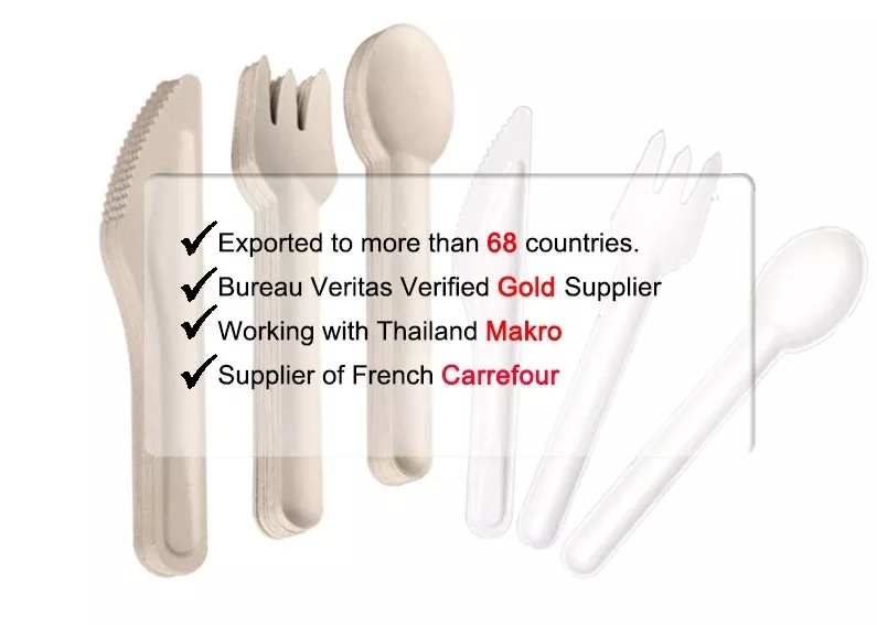 Disposable degradable bagasse tableware