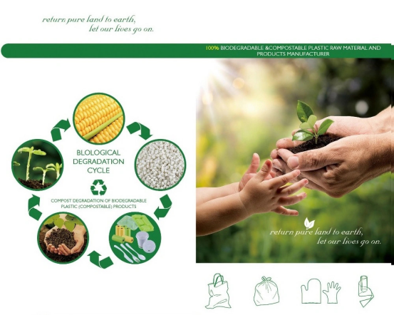 sugarcane disposable plates