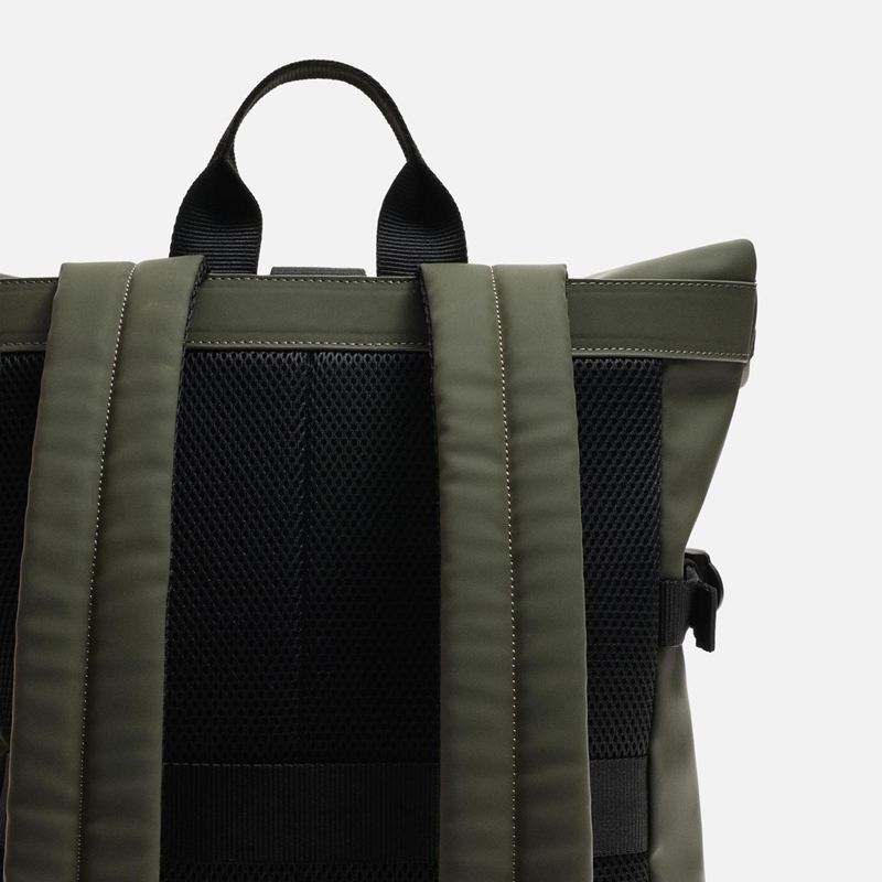 roll top backpack back view