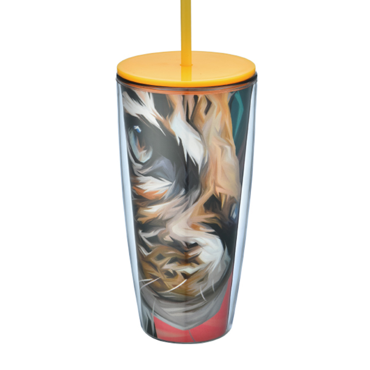 acrylic tumbler with straw