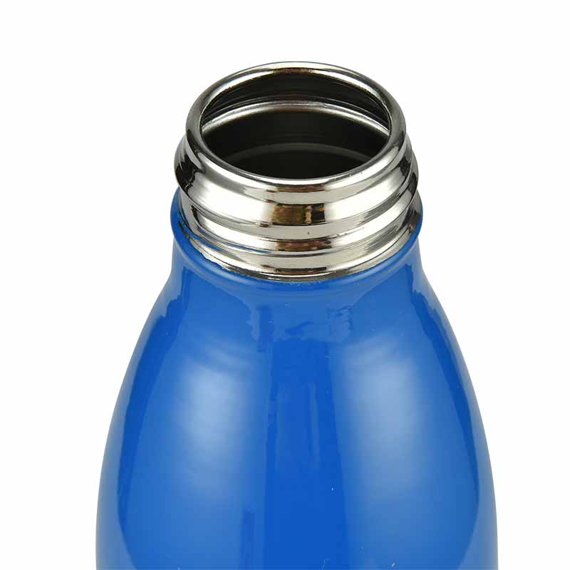 stainless steel bottle