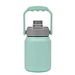 handle lid water bottle