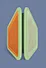 Fluorescent Delineator