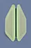 Fluorescent Delineator