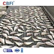 IQF 500kg Tunnel Freezer