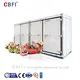 quick freezing air blast freezer