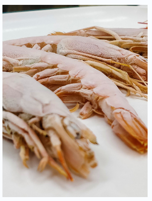 Air Blast Freezer Applicatio, Frozen shrimp