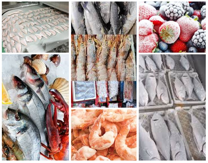 CBFI tunnel freezers Application
