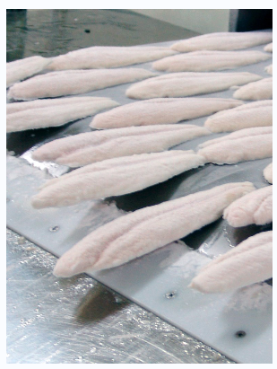 cbfi air blast freezer for seafood