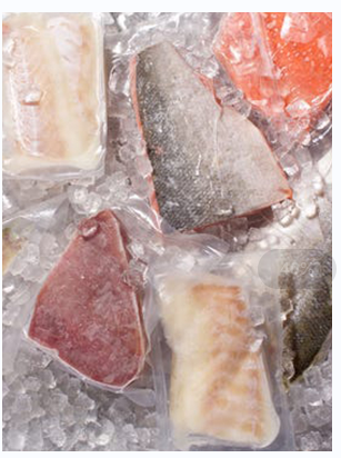 what is air blast freezer for sea fish