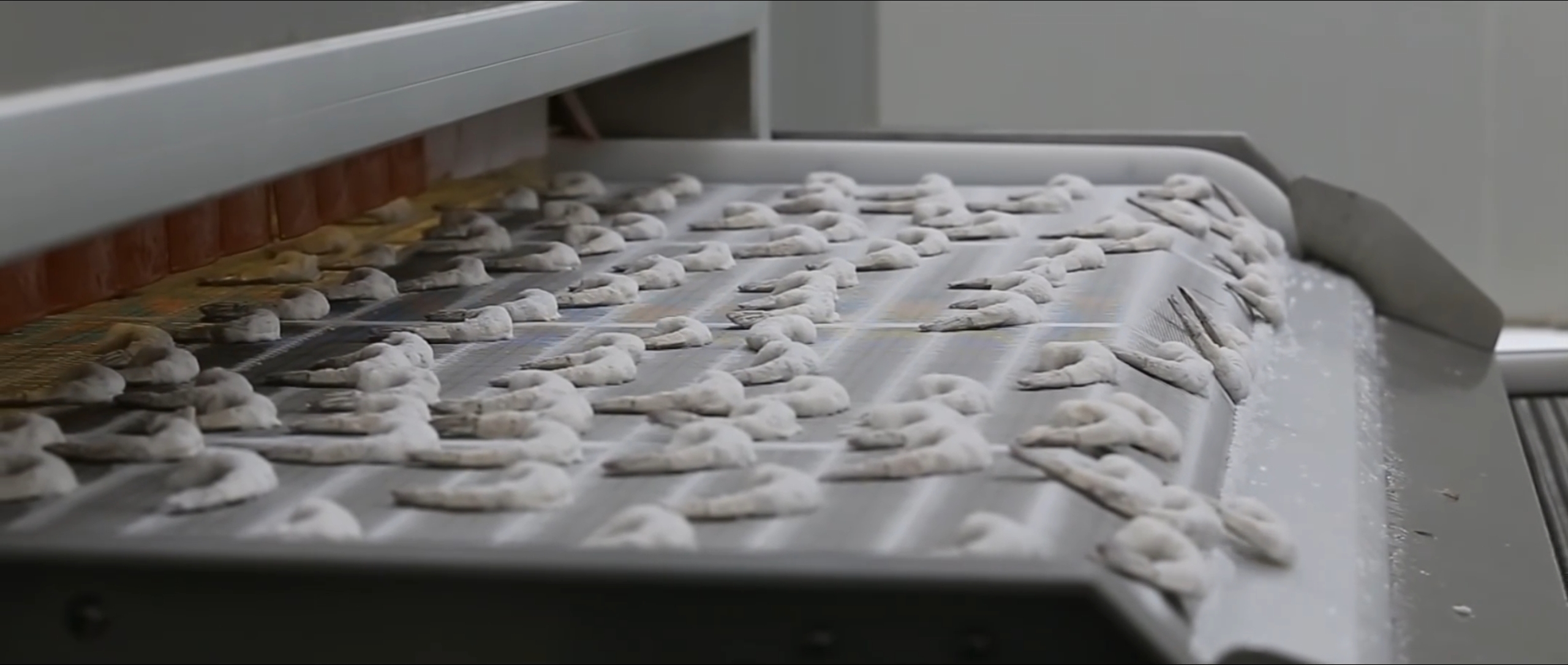 High Freezing Efficiency Shrimp Production Line