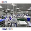 Shrimp spiral freezer