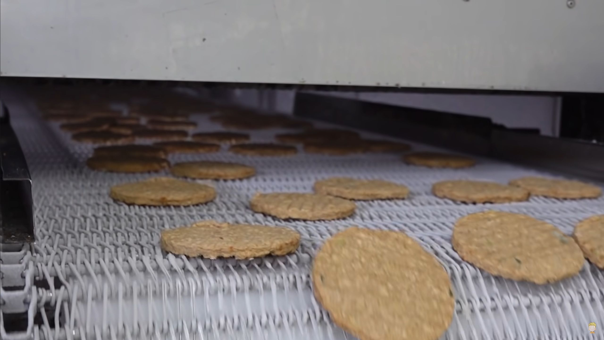 High Quality Efficiency Patty IQF Freezer